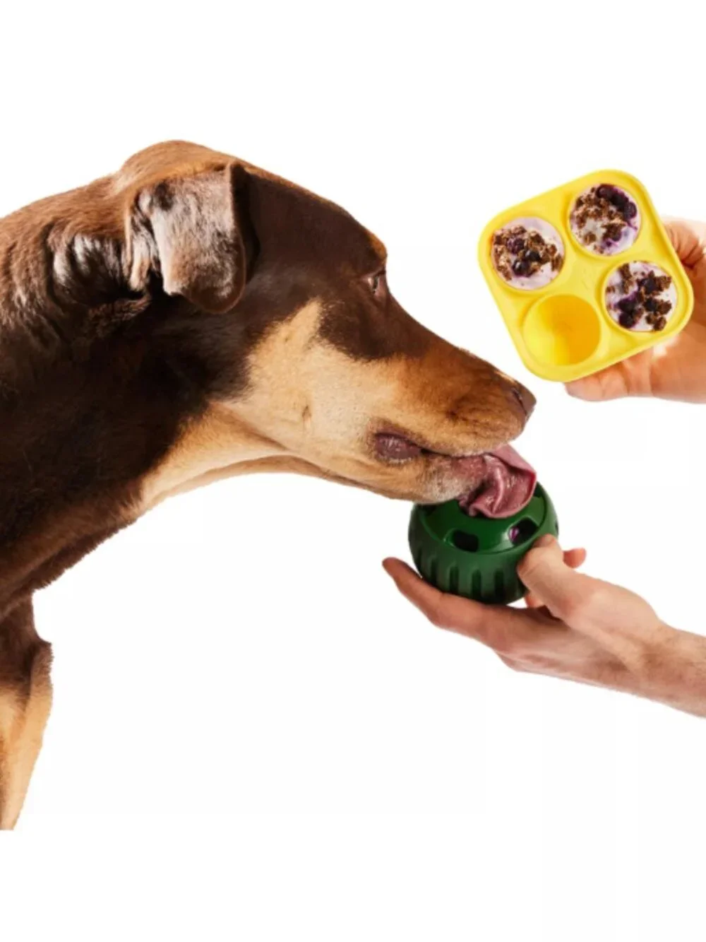 NWTWOOF Pupsicle Tray Silicone Freezer Mold for Four‎ Homemade Dog Treats